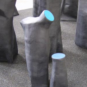 Barbara Christine Henning, Scala di Colore